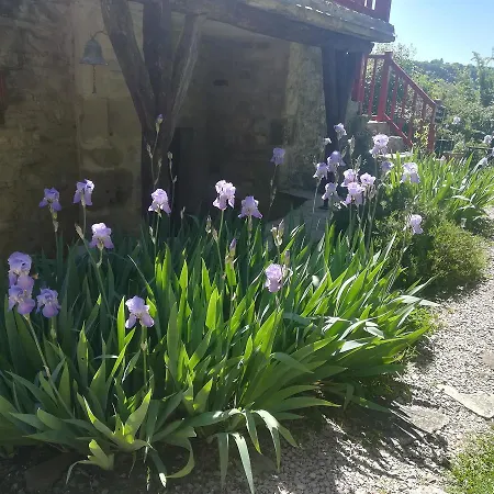 Aurifat Bed and breakfast Cordes-sur-Ciel