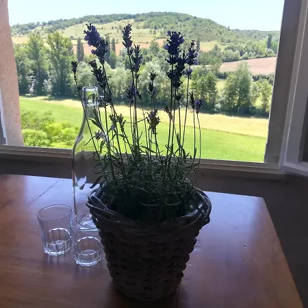 Aurifat Bed and breakfast